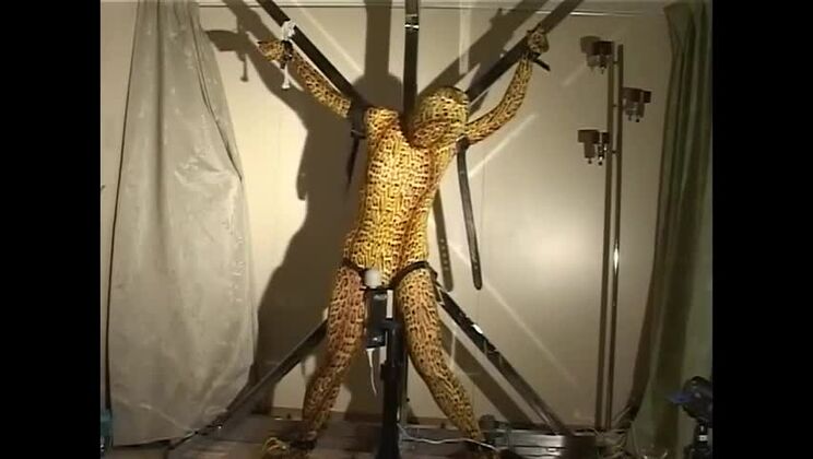 フェチな夢を叶える、挑発的な日本人女性